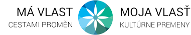  web ikona