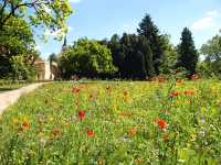 Lipník nad Bečvou - zámecký park