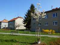 Němčice nad Hanou - veřejné prostranství