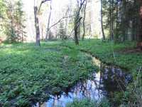 Svitavy - Vodárenský les