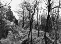 Osek - hrad Rýzmburk
