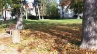 Prostějov – Nová workoutová hřiště